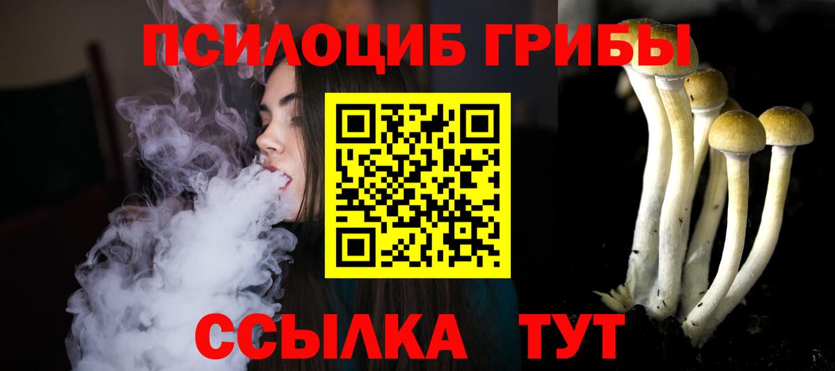 Псилоцибиновые грибы Psilocybe  где купить наркотик  Вятские Поляны  Вход с VPN 