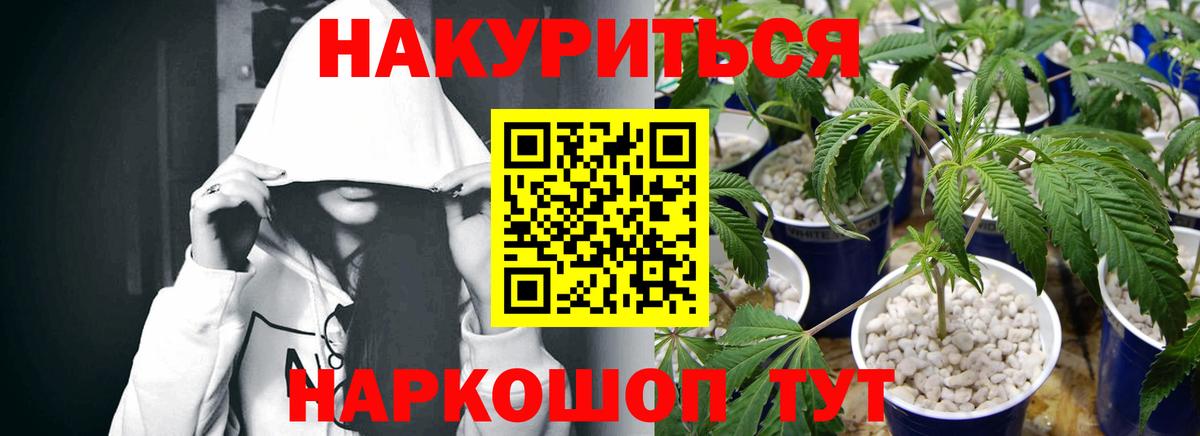 Вятские Поляны  Канабис MAZAR  Вход с VPN  Бошки Шишки план 